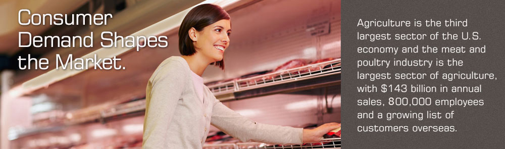 Woman shopping for meat